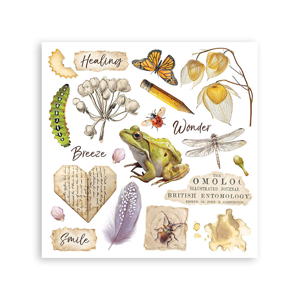 Thumbnail: Printed Decorative Rub on kit for Art and Craft cm 15,5x15,5 - All Around