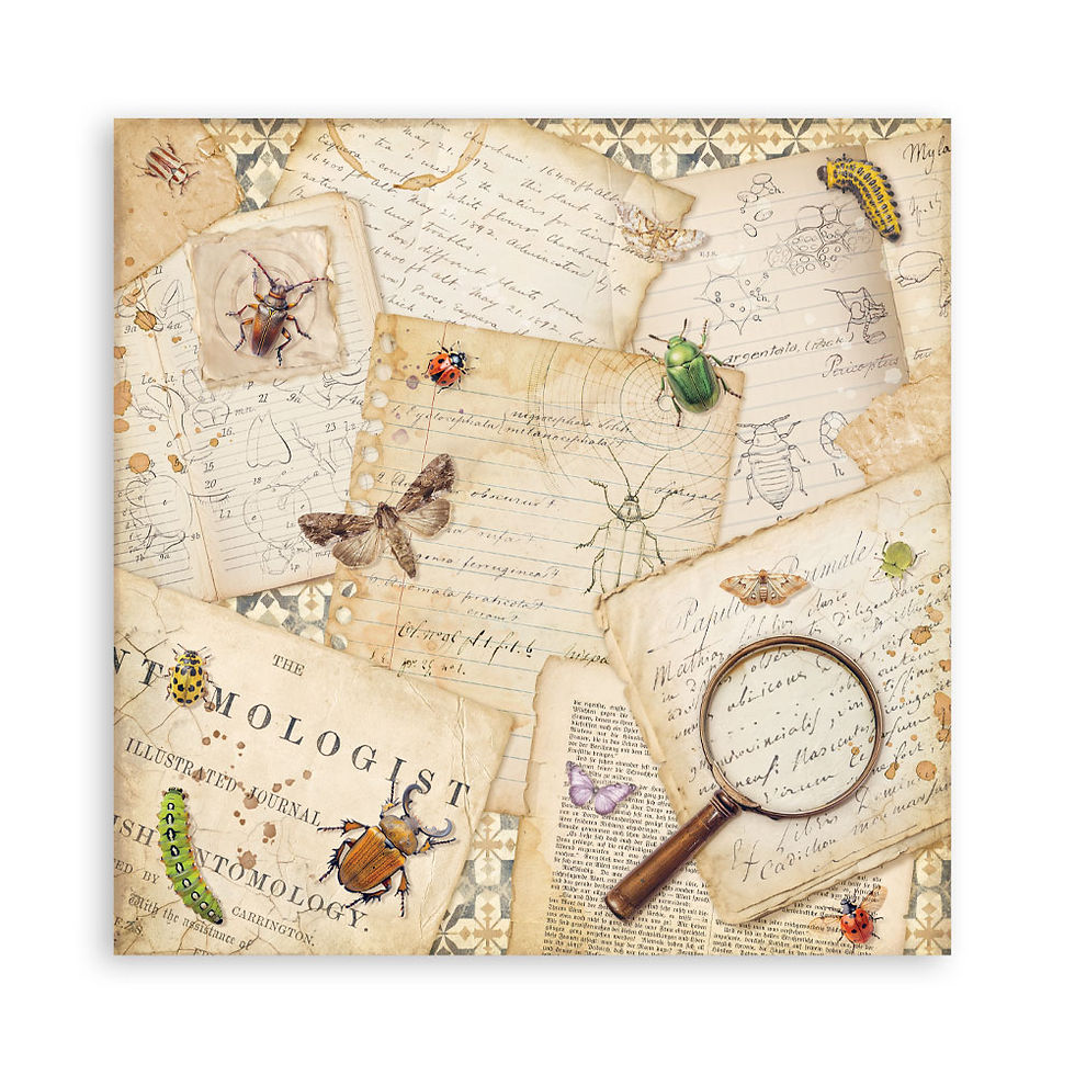 Thumbnail: Scrapbooking Pad 22 sheets 12"x12" Single face - All Around