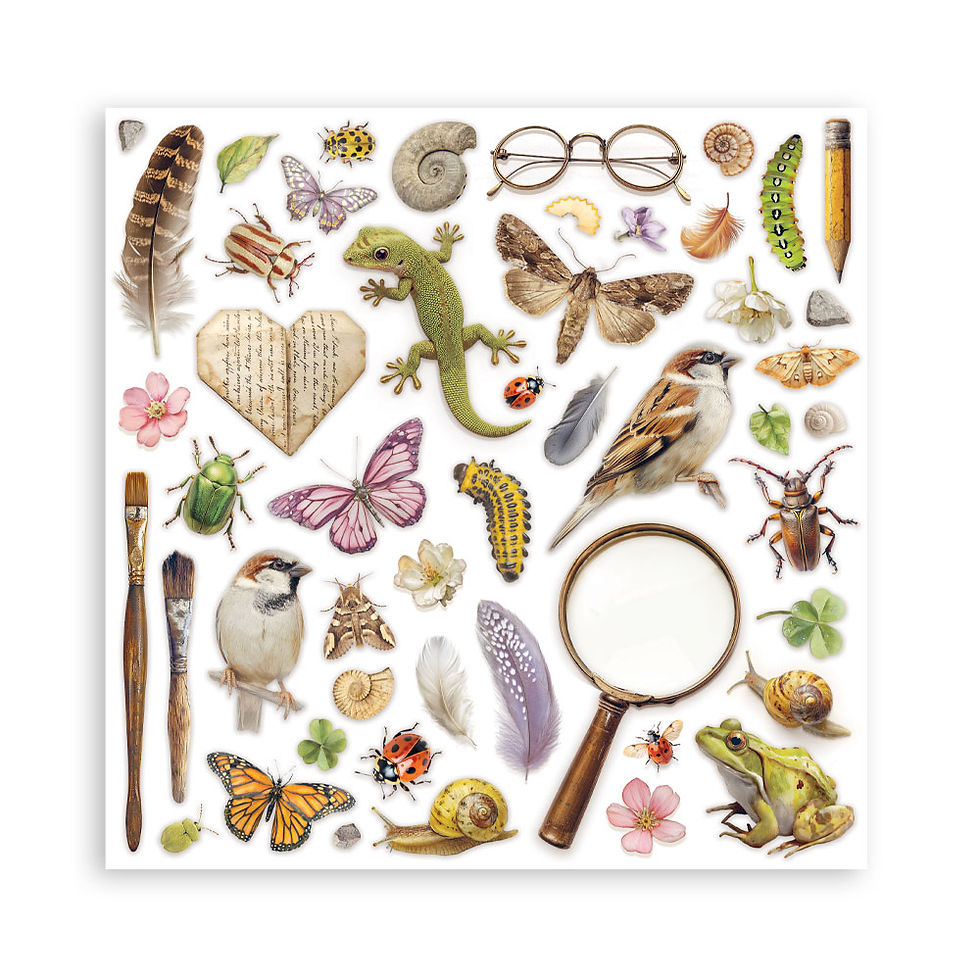 Thumbnail: Scrapbooking Printed Pad for Art and Craft 10 sheets 8"X8"- All Around