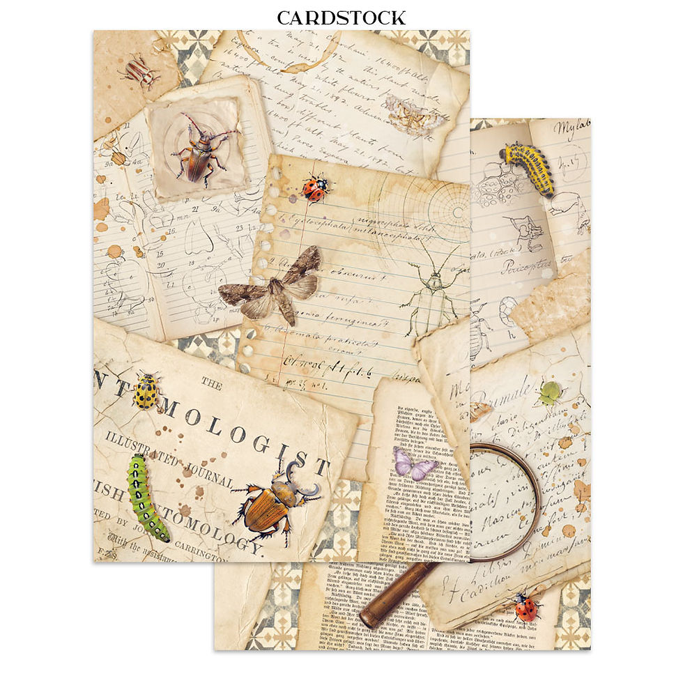 Miniatura: Printed Art Junk journal - All Around