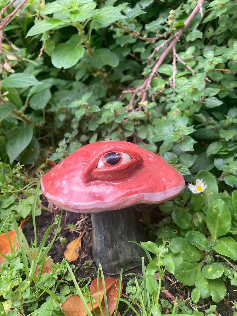 Thumbnail: Psychedelic Russula Mushroom