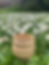 Thumbnail: Beehive Vase