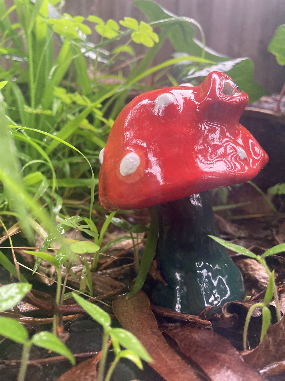 Thumbnail: Amanita Muscaria