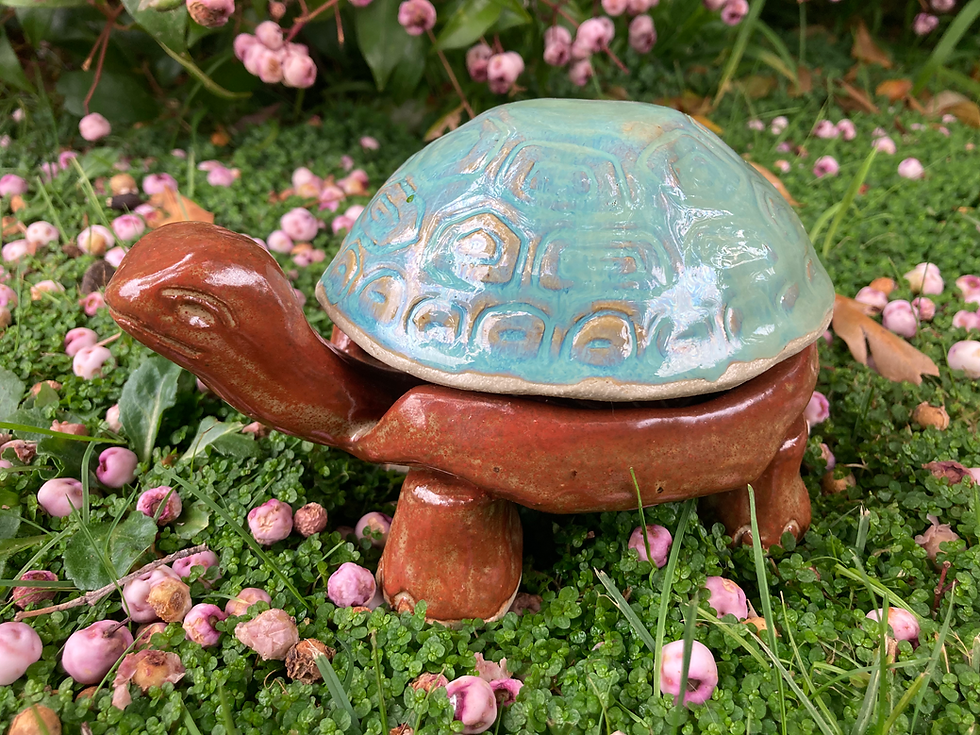 Thumbnail: Trinket Tortoise