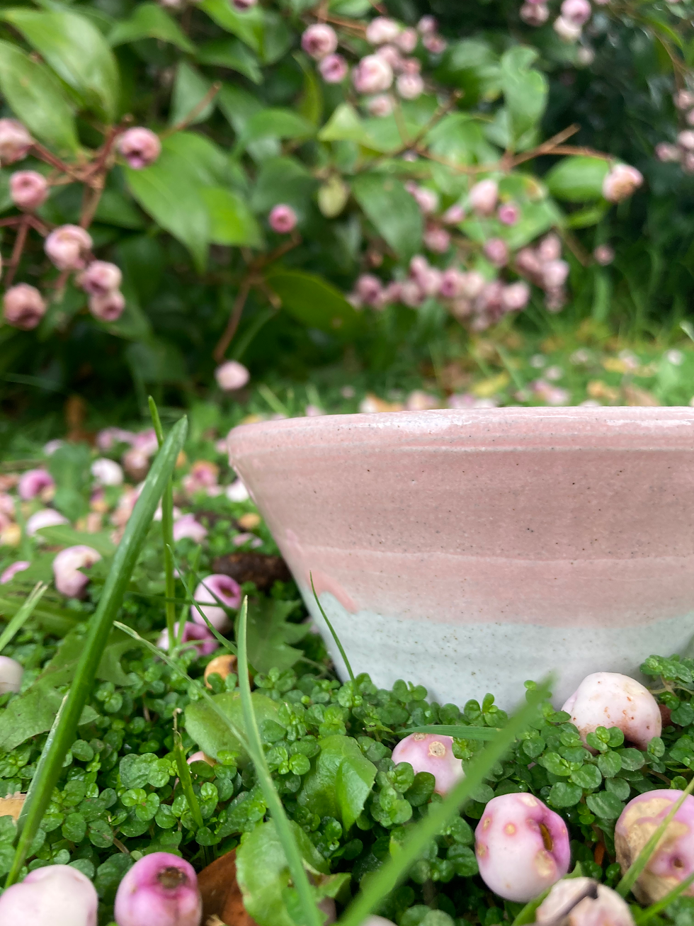 Thumbnail: Lil Pink Bowl