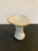 Alabaster Mushroom