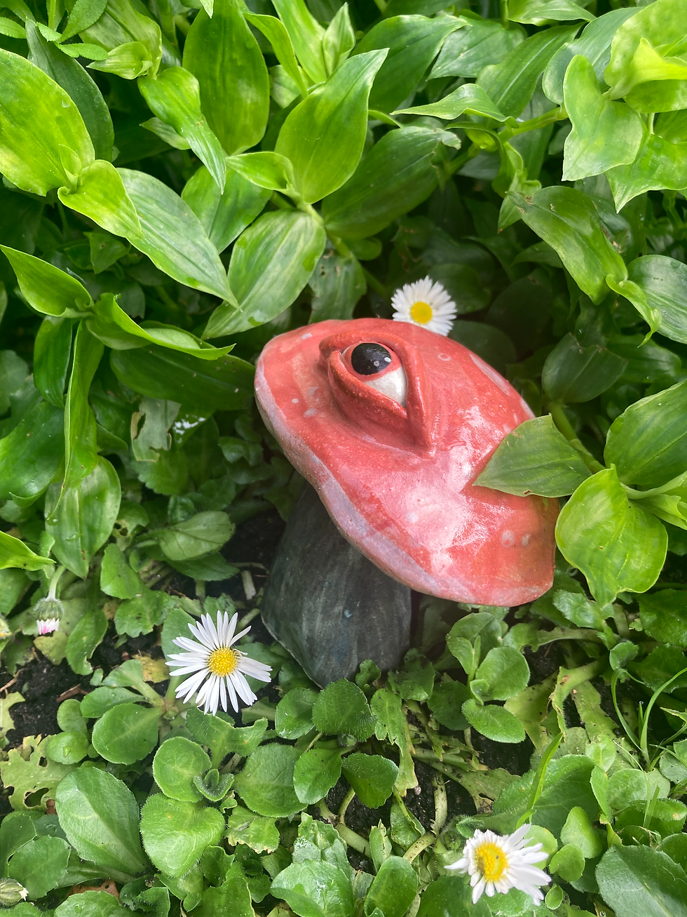 Thumbnail: Psychedelic Russula Mushroom