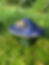 Thumbnail: Big Mush and Baby Mush