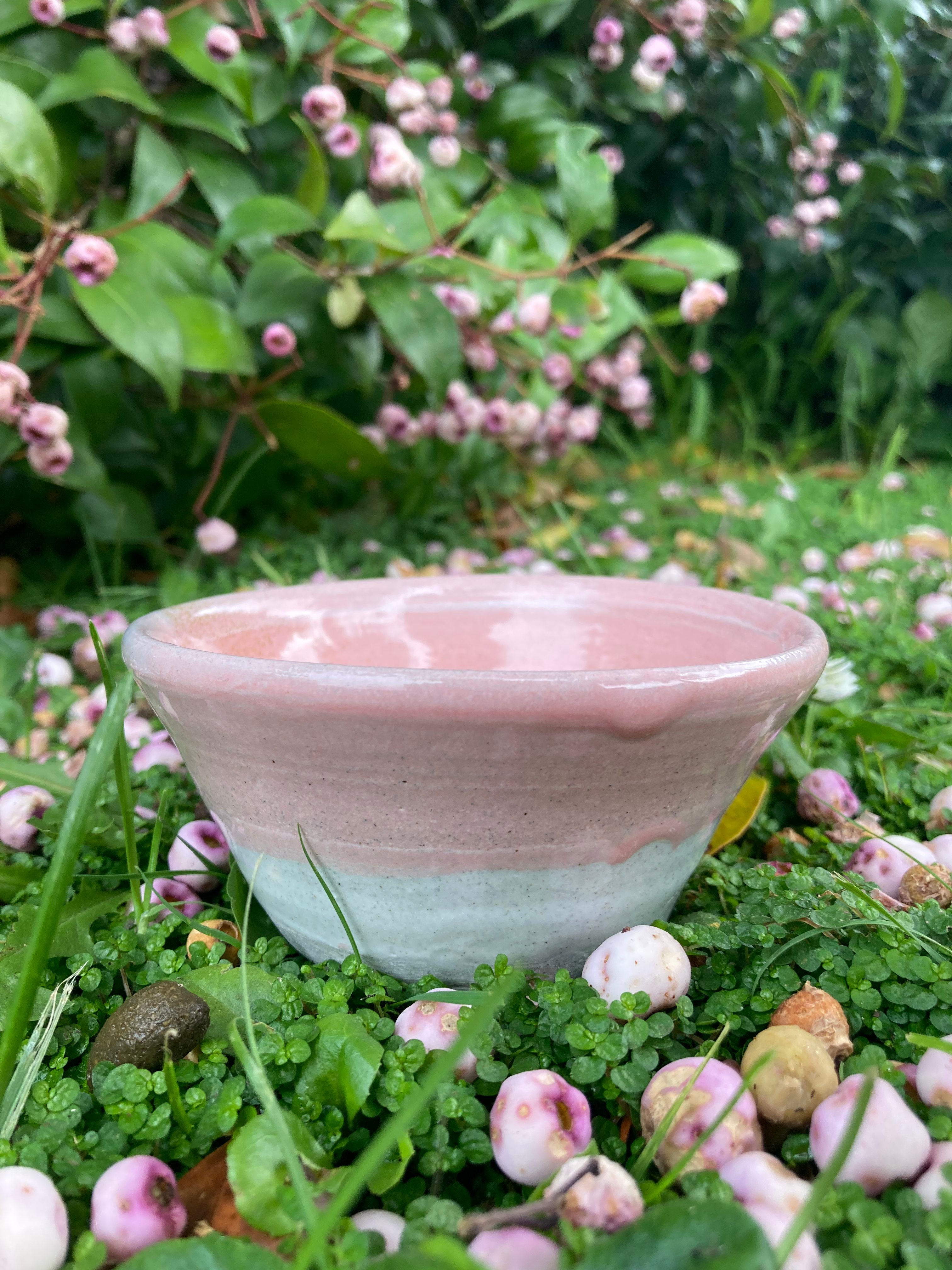 Lil Pink Bowl
