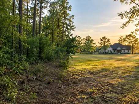 Does Clearing Increase Property Value in East Texas?