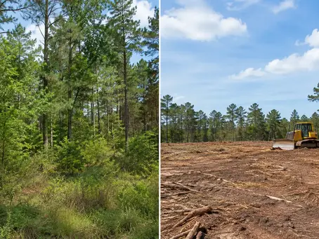 Before and After Land Clearing on East Texas Land