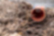 plastic-pvc-waste-sewer-pipe-in-the-ground-constr-2023-04-18-01-57-13-utc-2.jpg