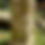 Thumbnail: The Book Of Magic  