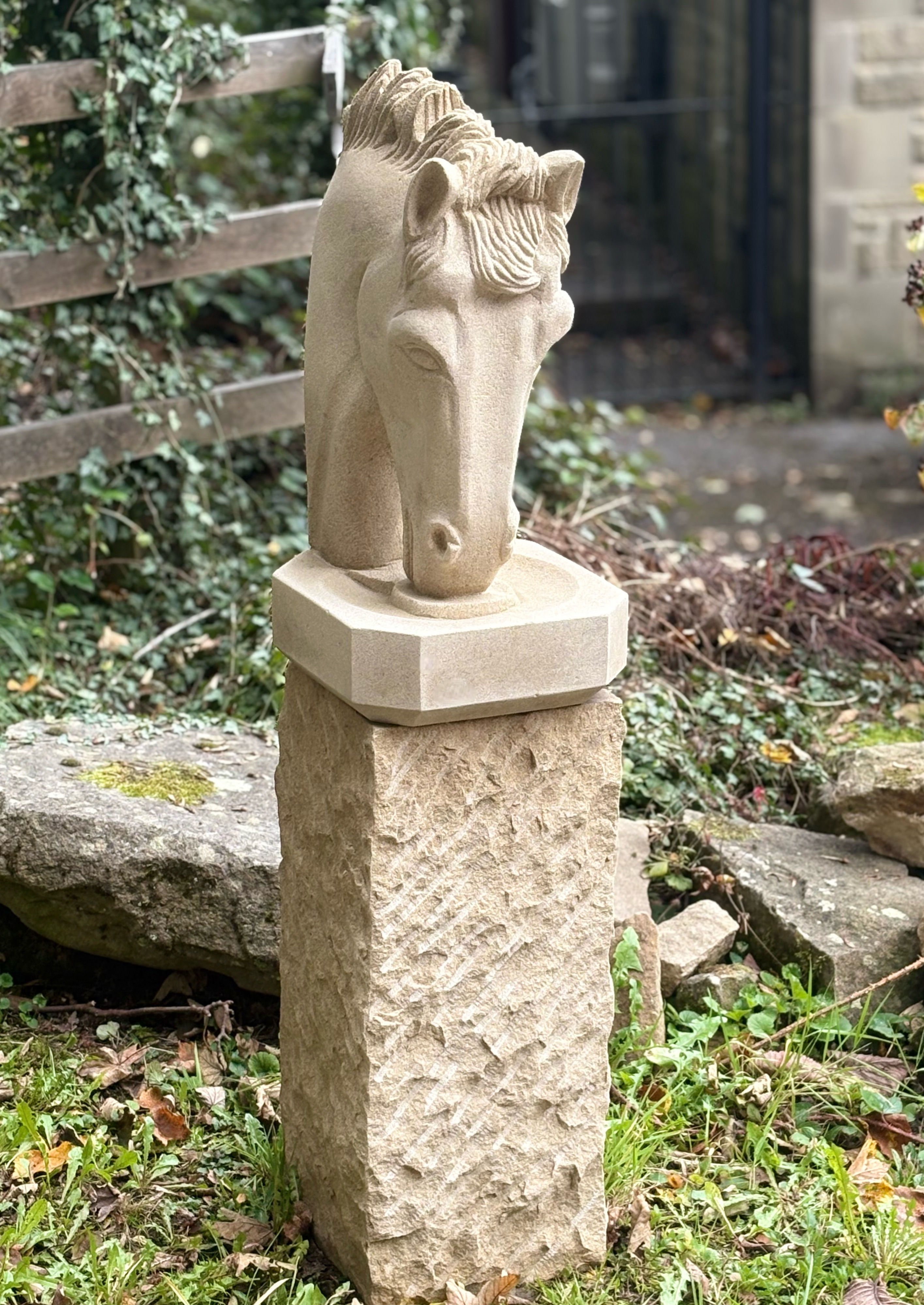 Horse At The Drinking Bowl . January delivery