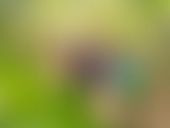 Social Gatherings During Weight Management