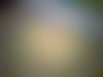 Let's Play the Emotions Game