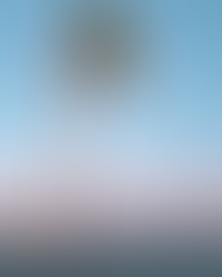 Be a Palm Tree this Holiday Season