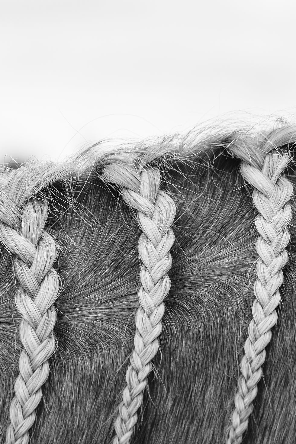 Thumbnail: pretty plaits - A3 frame-ready mounted print