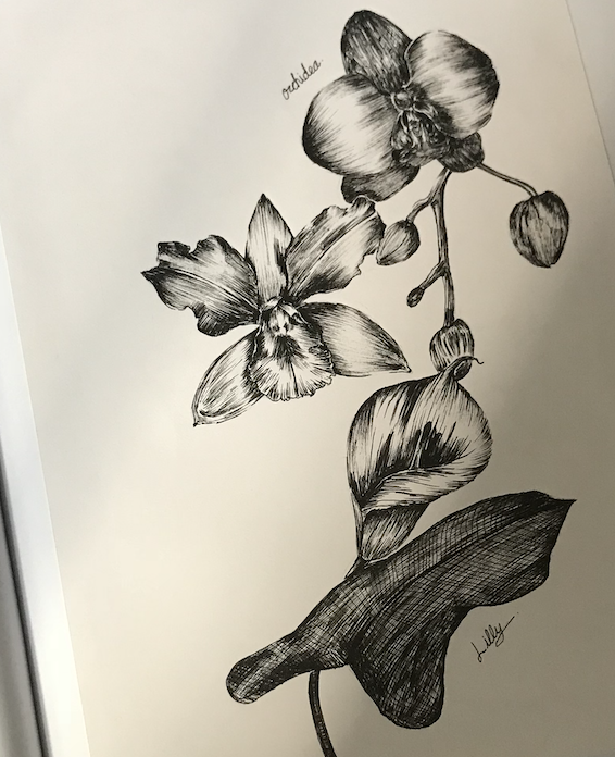 Illustrations