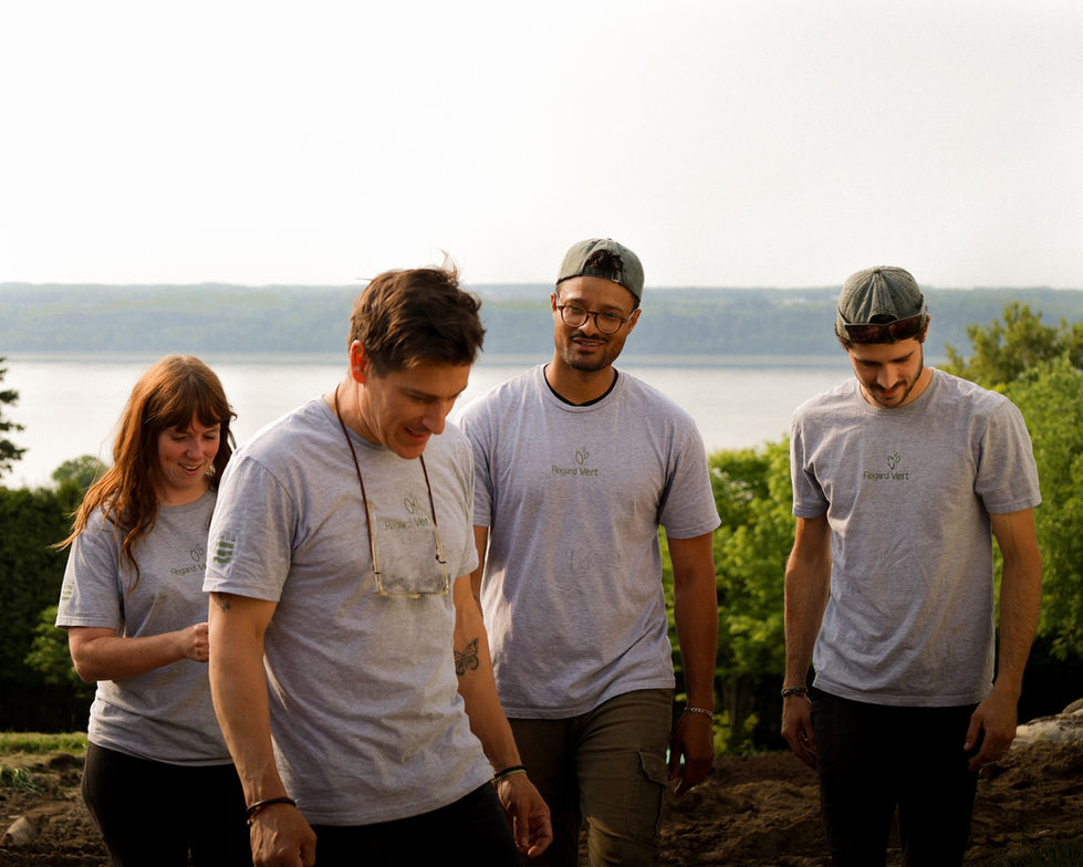 Le Regard Vert - Neuville 