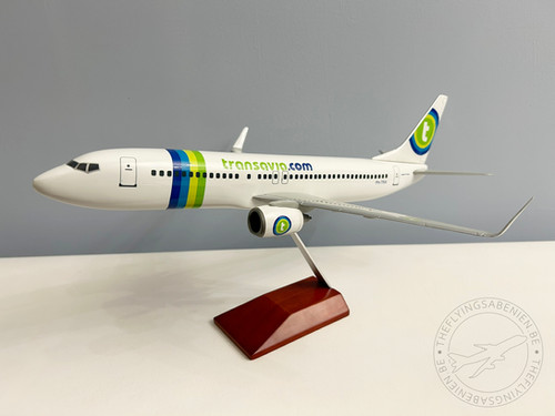 Transavia Scale 1-100 model Boeing B737-800 PH-TRA | The
