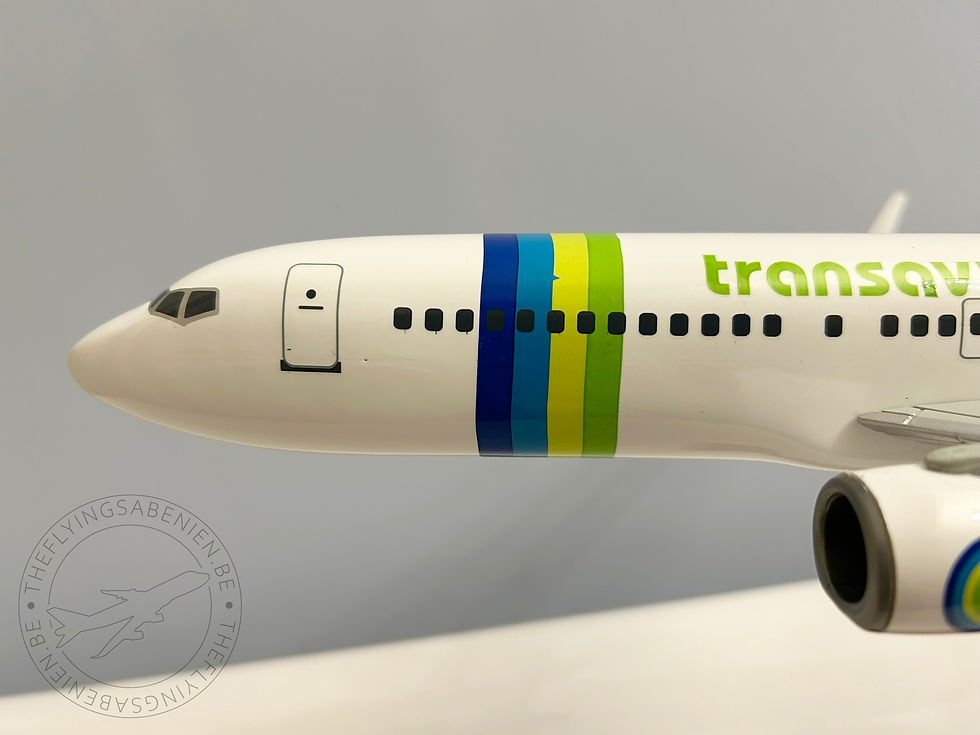 transavia Boeing 737 1/100モデル Transavia Airlines Boeing 737-800 PH-HXA NG Models 58128
