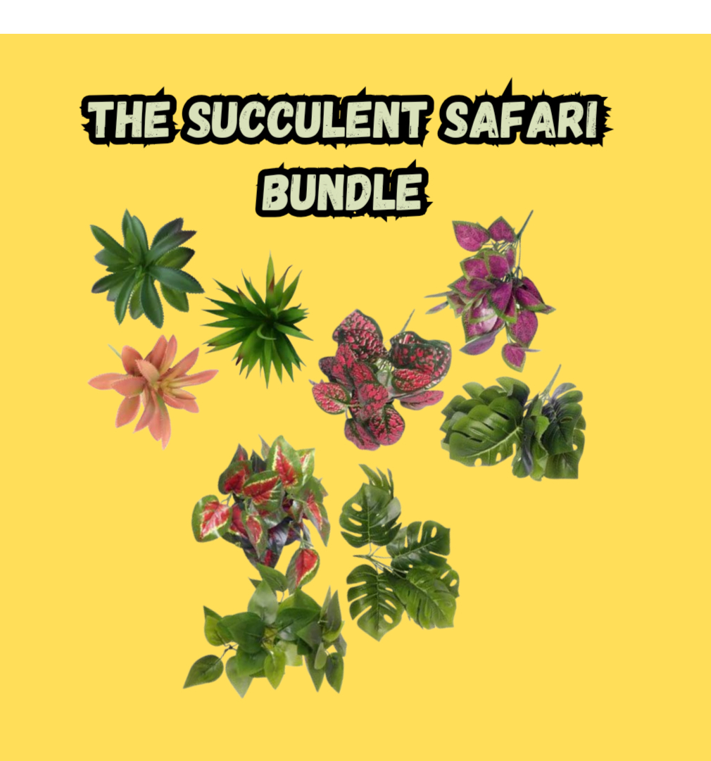 The Succulent Safari Bundle