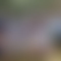 William Carey Christian School 7-9 Boys Division 2 Softball Champions