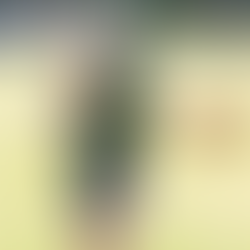 Macarthur Anglican School