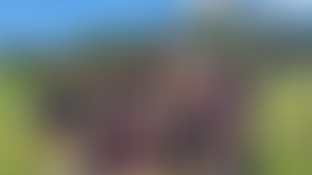 MAGDALENE CATHOLIC COLLEGE 10/11 MIXED FRISBEE DIVISION 1 CHAMPIONS 2025