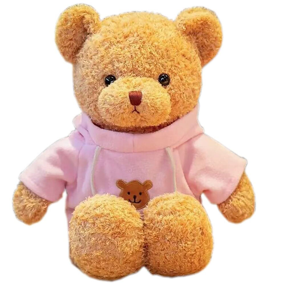 Teddy Bear Stuffed Animal Cute Plush Doll SoftToy 11.8