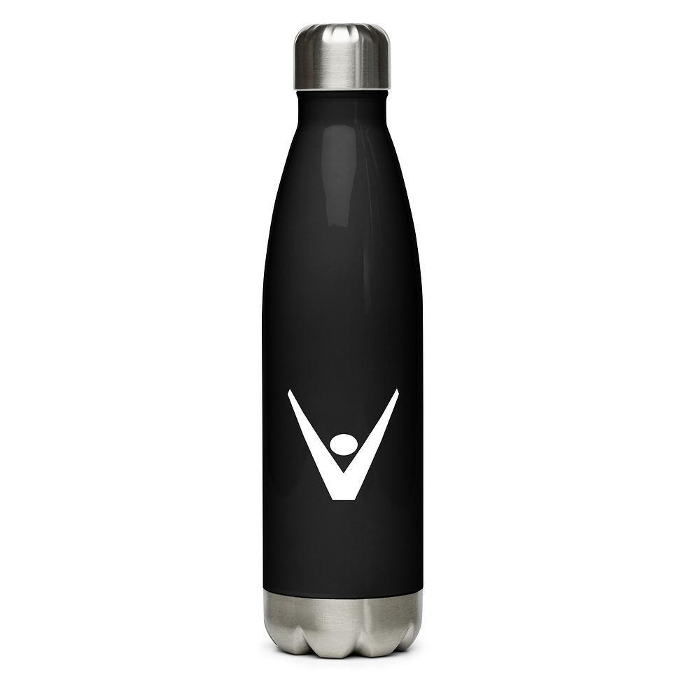 Stainless Steel Water Bottle