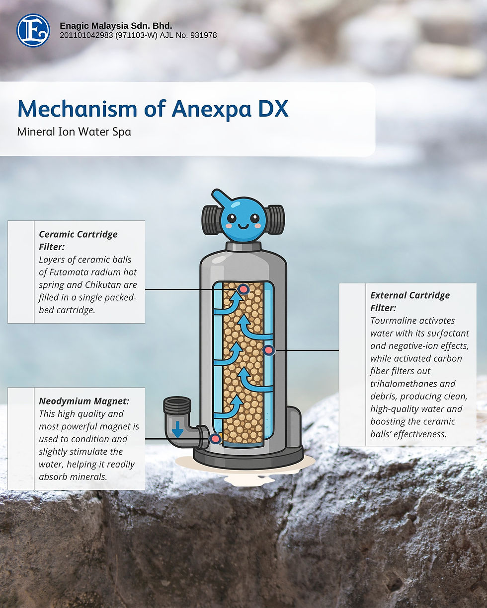 Thumbnail: Image of Anespa 08
