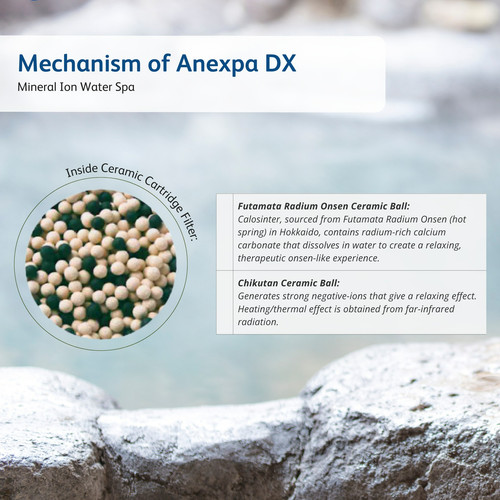 Anespa DX | Kangen Wellness Hub