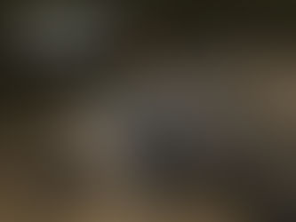 Hunt Africa Namibia Safaris