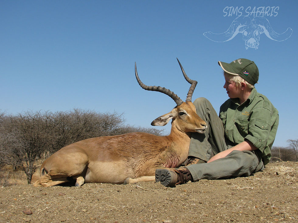 impala hunting