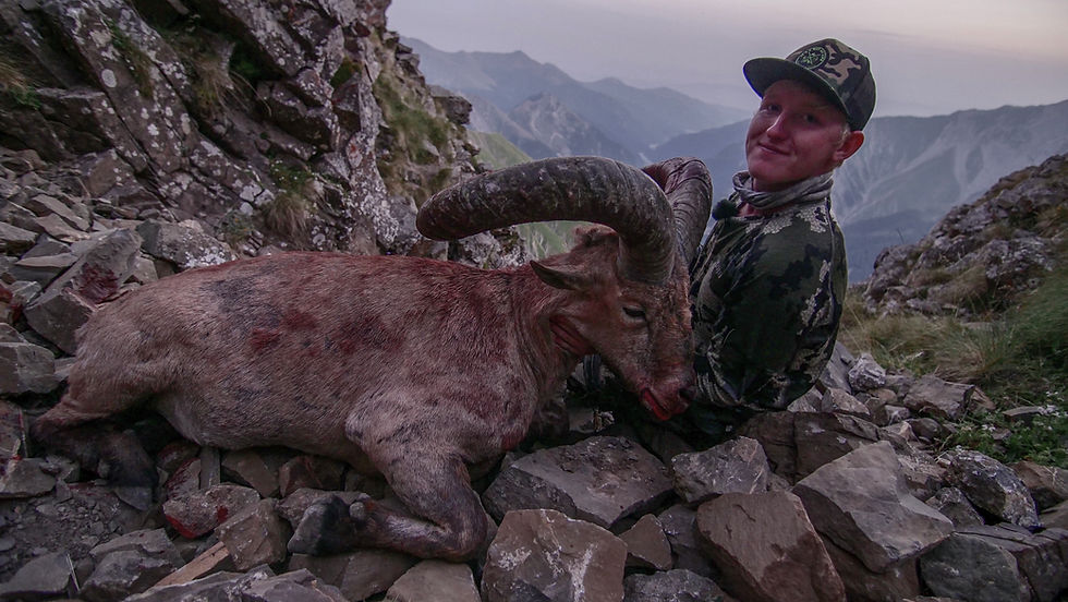 It could help you but also could hurt you!