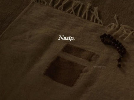 Nasip