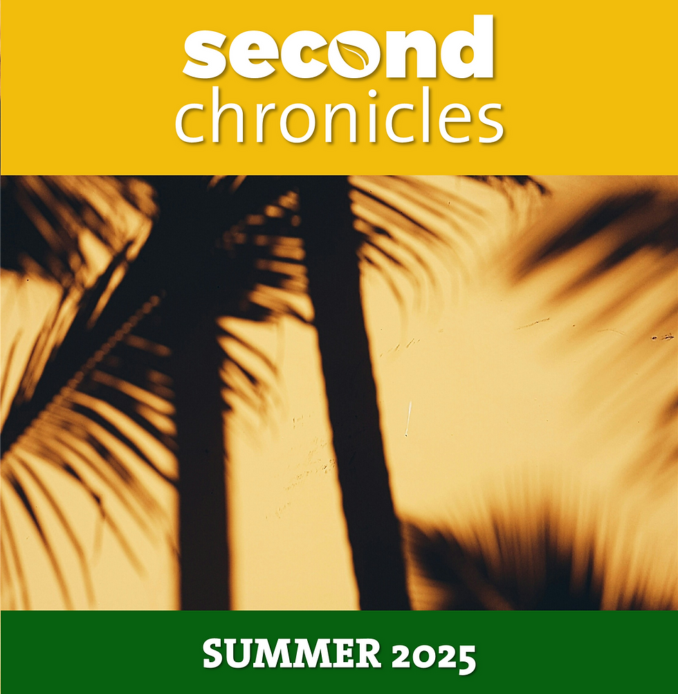 Summer 2025
