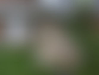 Gestaltung eines Privatgartens