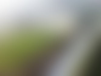 Bepflanzen einer Böschung und Verlegen von Fertigrasen