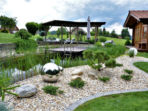 Gestaltung der Uferzone eines Schwimmteiches