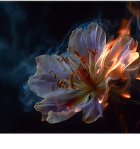 Untitled design (68).png