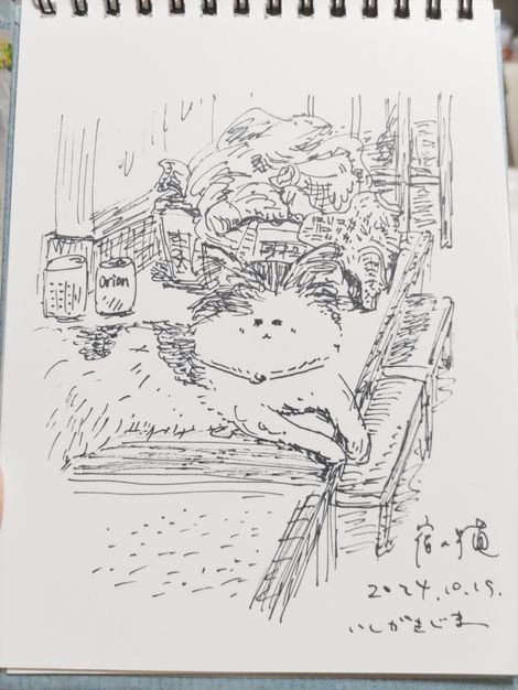 石垣島にいた猫。