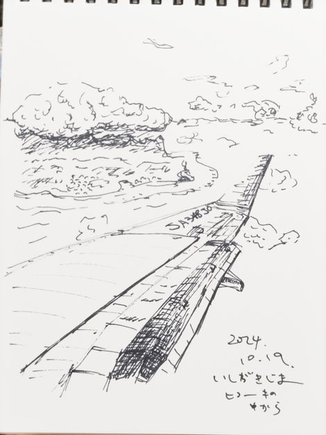 石垣島の上空。