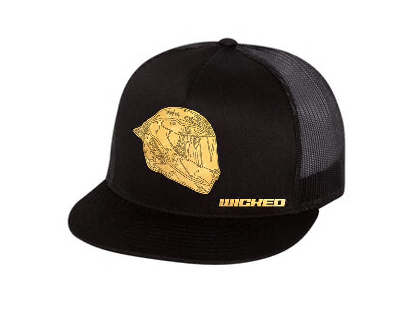 Wicked Mesh Back Hat