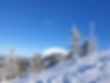 3794b4ef-70a7-4935-a4d2-8f3d656aae6e.JPG