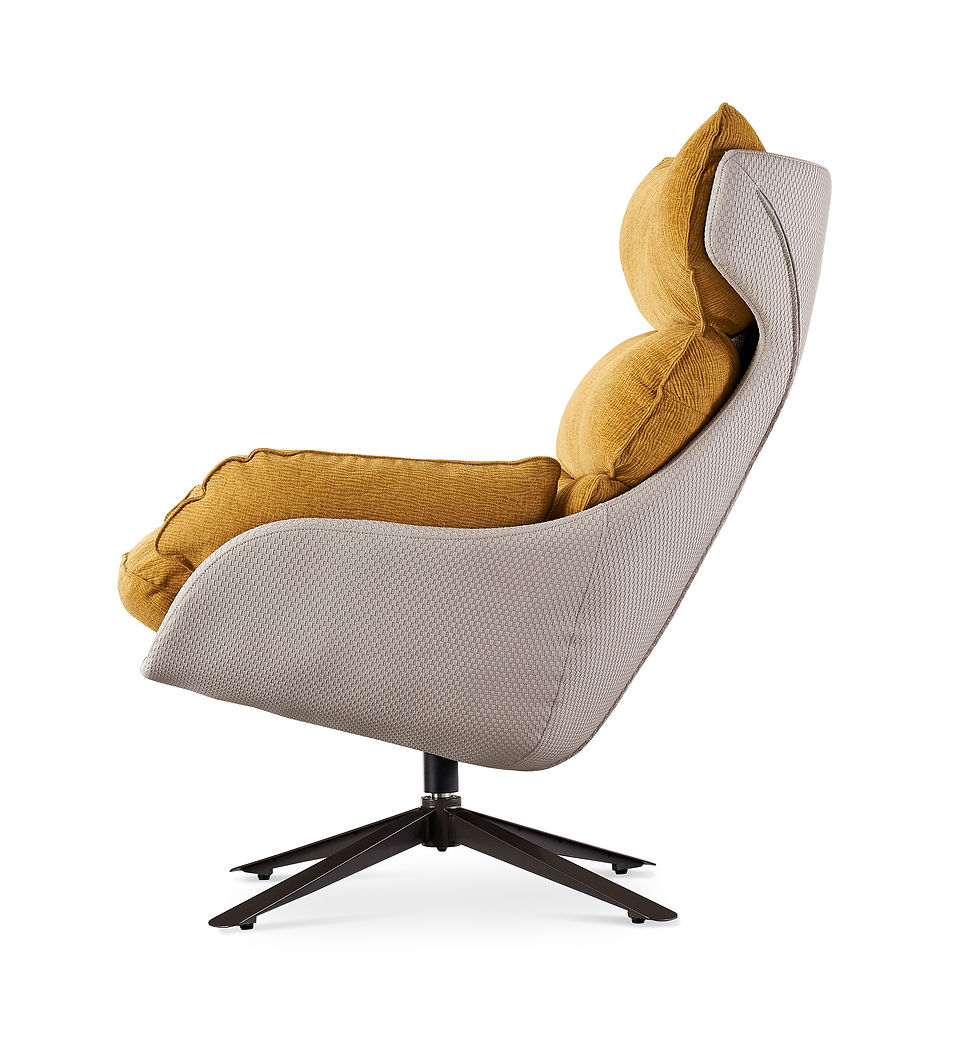 Thumbnail: Accent Chair(JFY91)