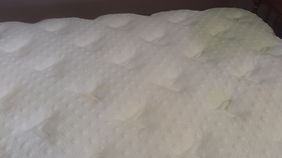 Mattress After Cleaning