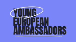 Young European Ambassadors in Azerbaijan install 100 shelter boxes for homeless animals in Baku, Ganja and Lankaran